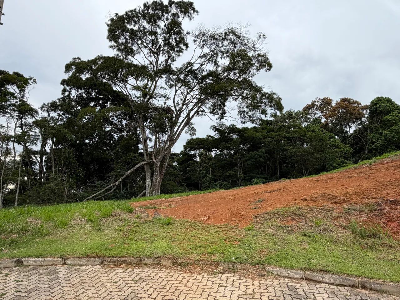 Foto - Juiz de Fora - Salvaterra