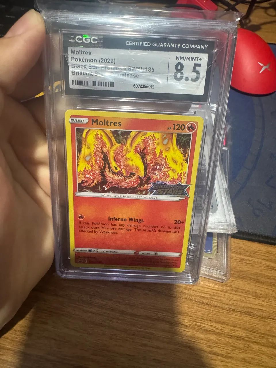 Pokemon moltres 