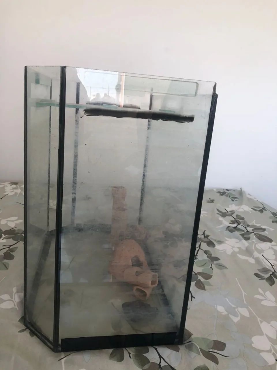 Aquário  com base - Foto 2