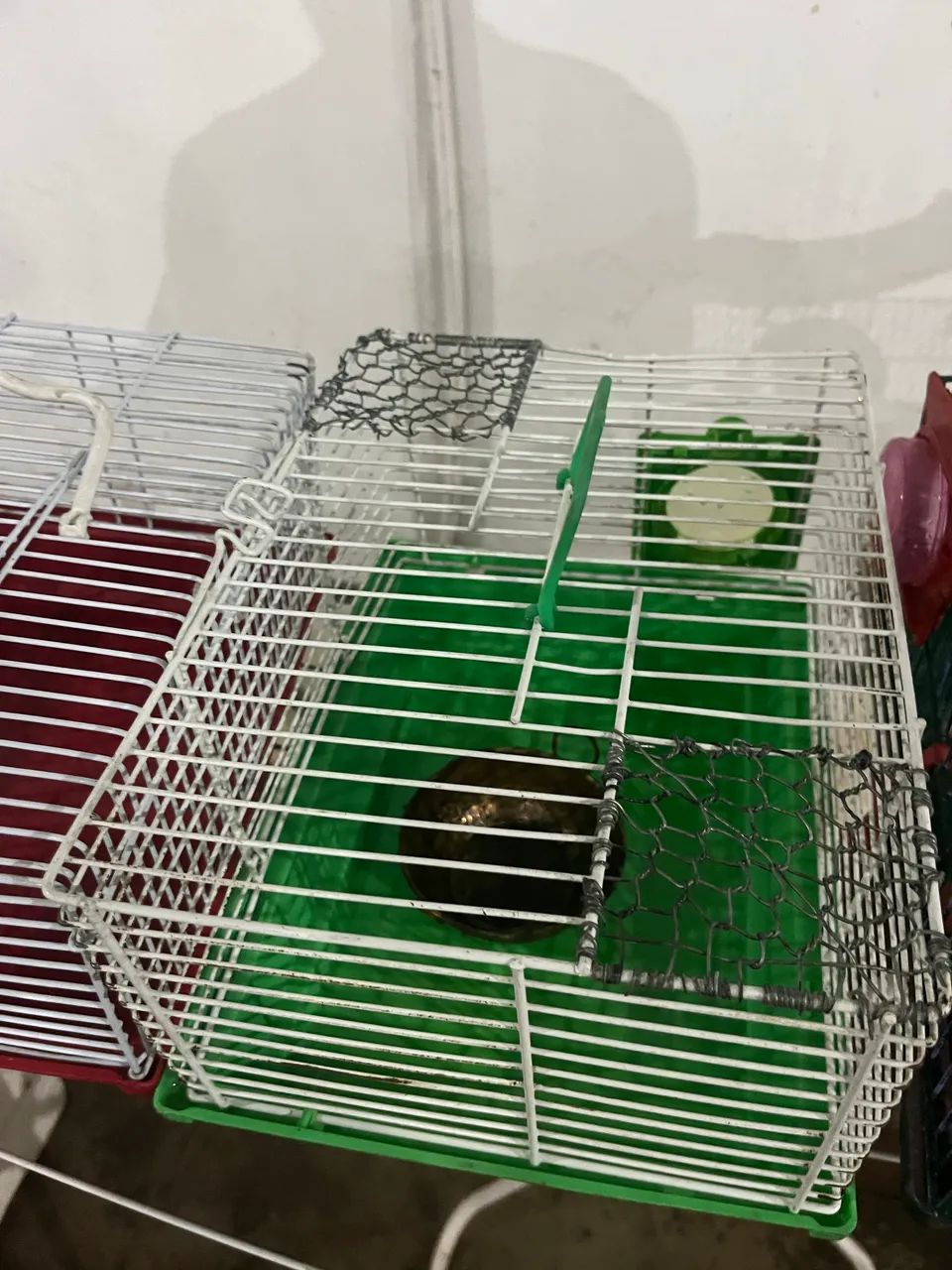 Cage65570202294019122