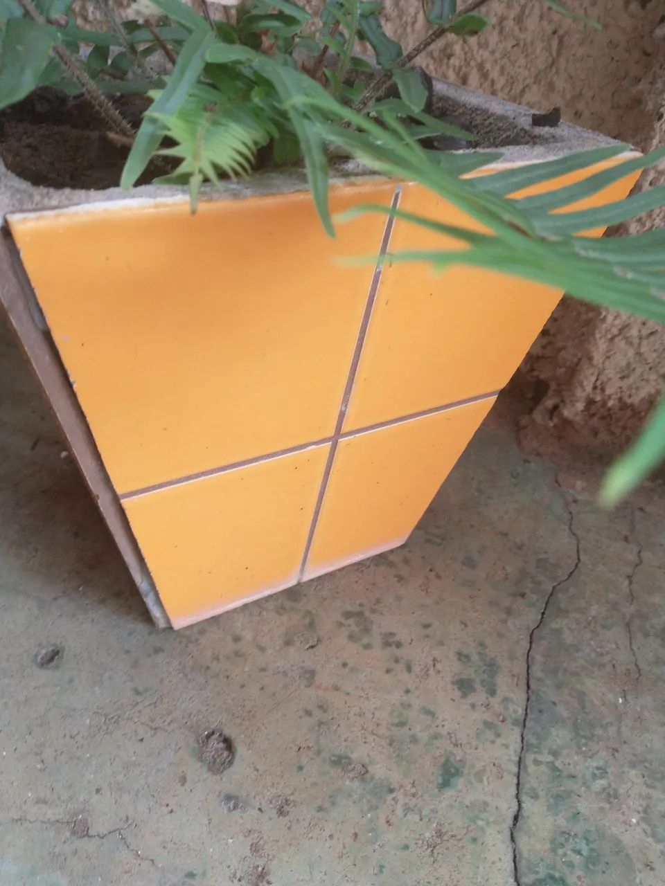 Vaso de cerâmica com planta samambaia. - Foto 3