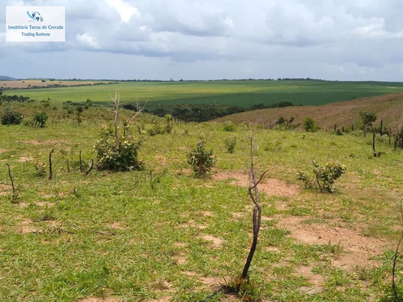 FAZENDA COM 500HA PRA SOJA IRRIGADA JA COM OUTORGA DE ÁGUA - Foto 4