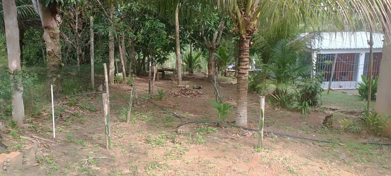 Sítio com igarapé e piscina  - Foto 3