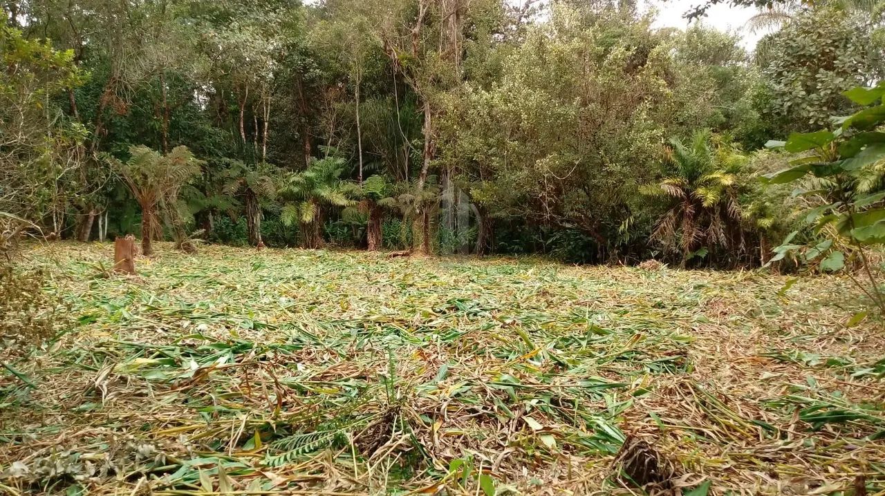 Terreno em Barra do Saí - Itapoá - Foto 3