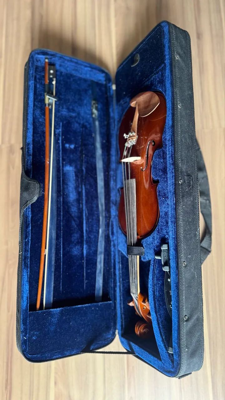 Violino Eagle Ve441 4/4 Com Case, Arco - Foto 3