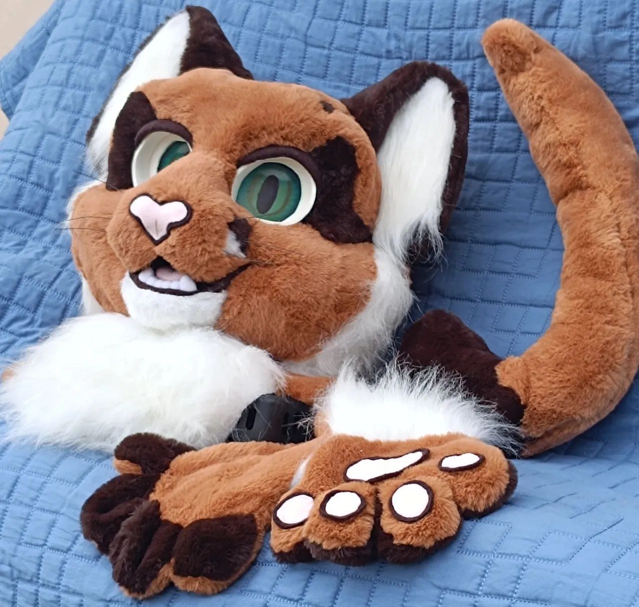 Fursuit nova - Foto 3