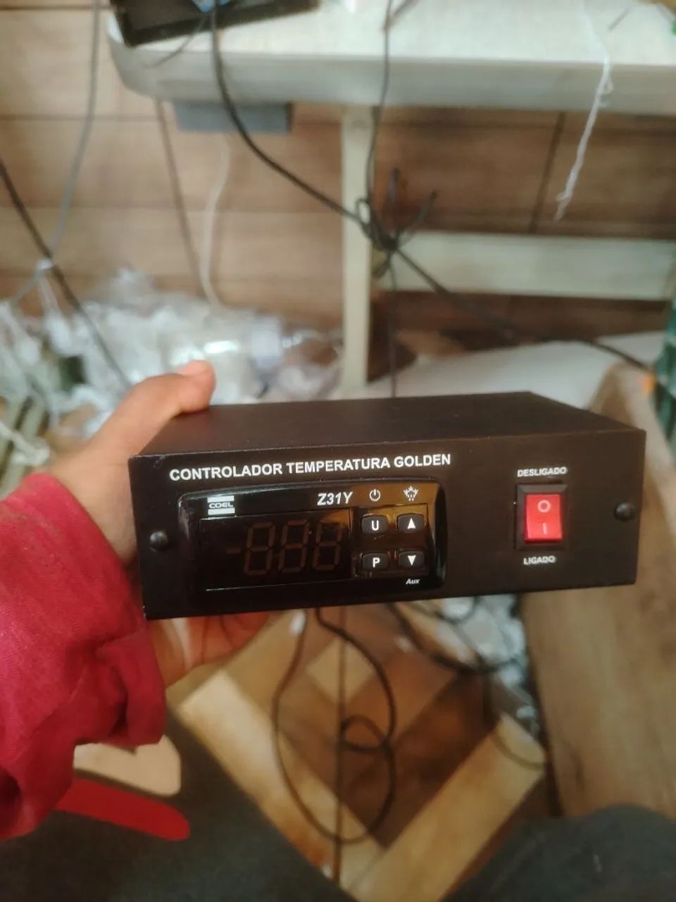 coel  Z31Y - Foto 2