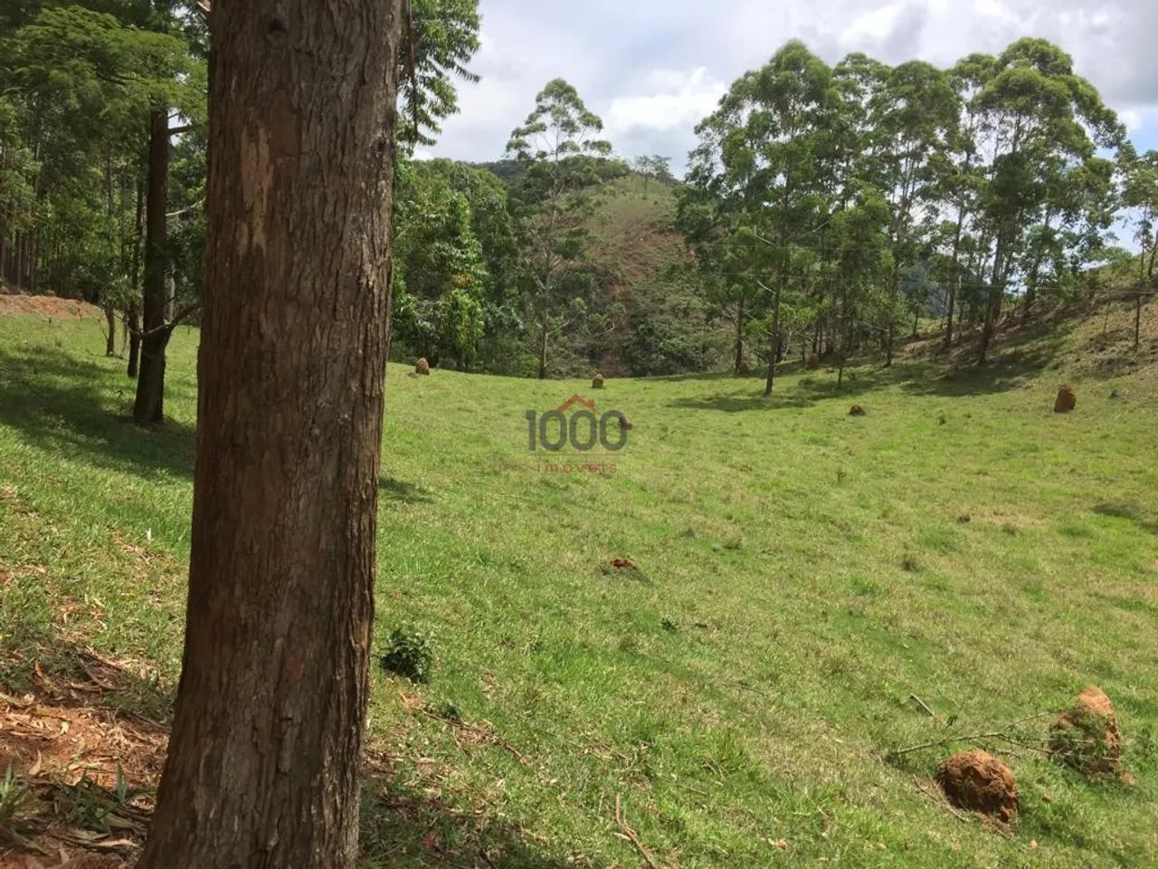 Fazenda 3 quartos - Cachoeira - Foto 4