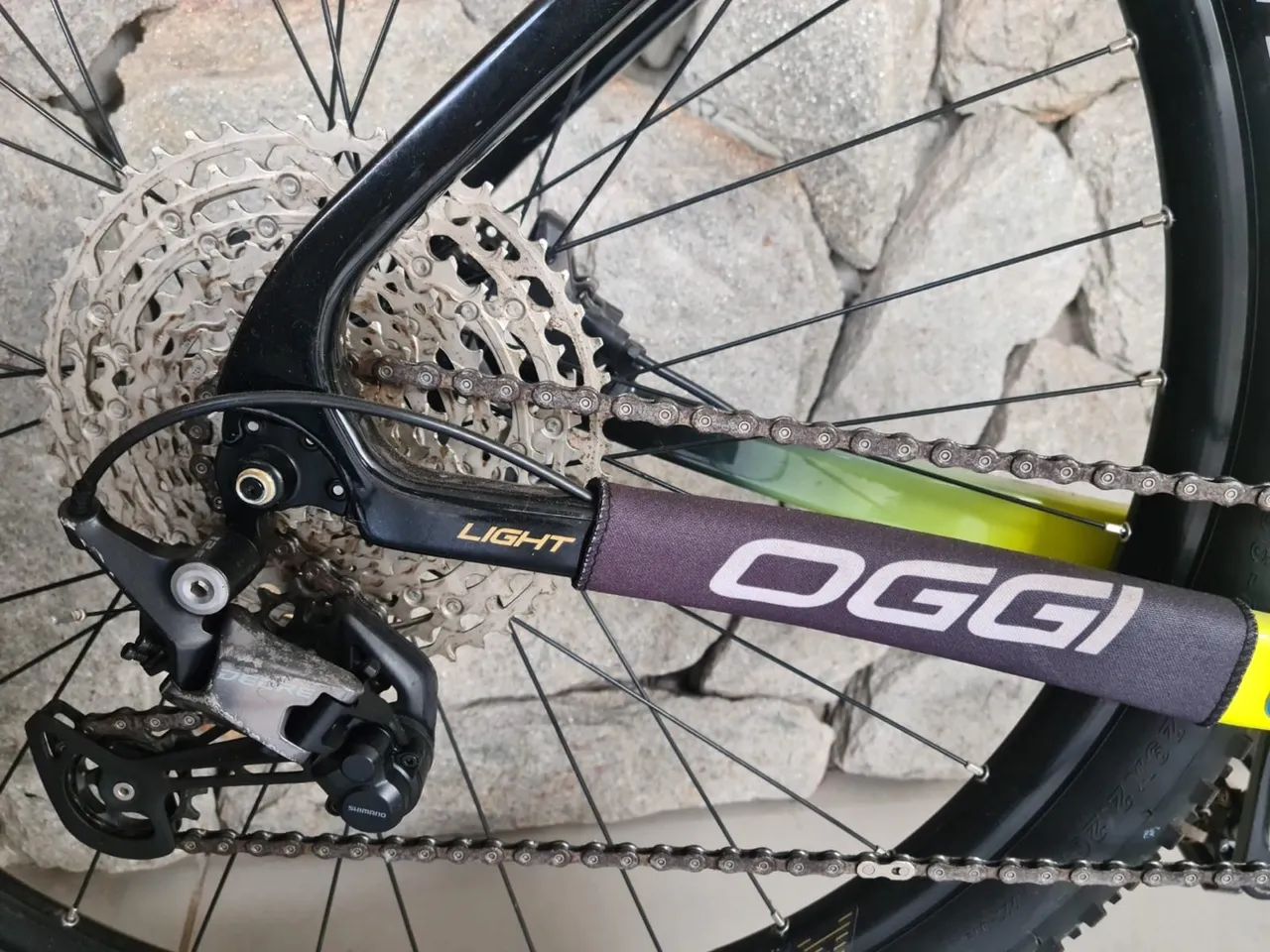 Bicicleta oggi 