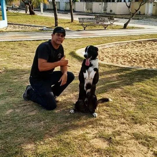 Adestramento de Cães  - Foto 4
