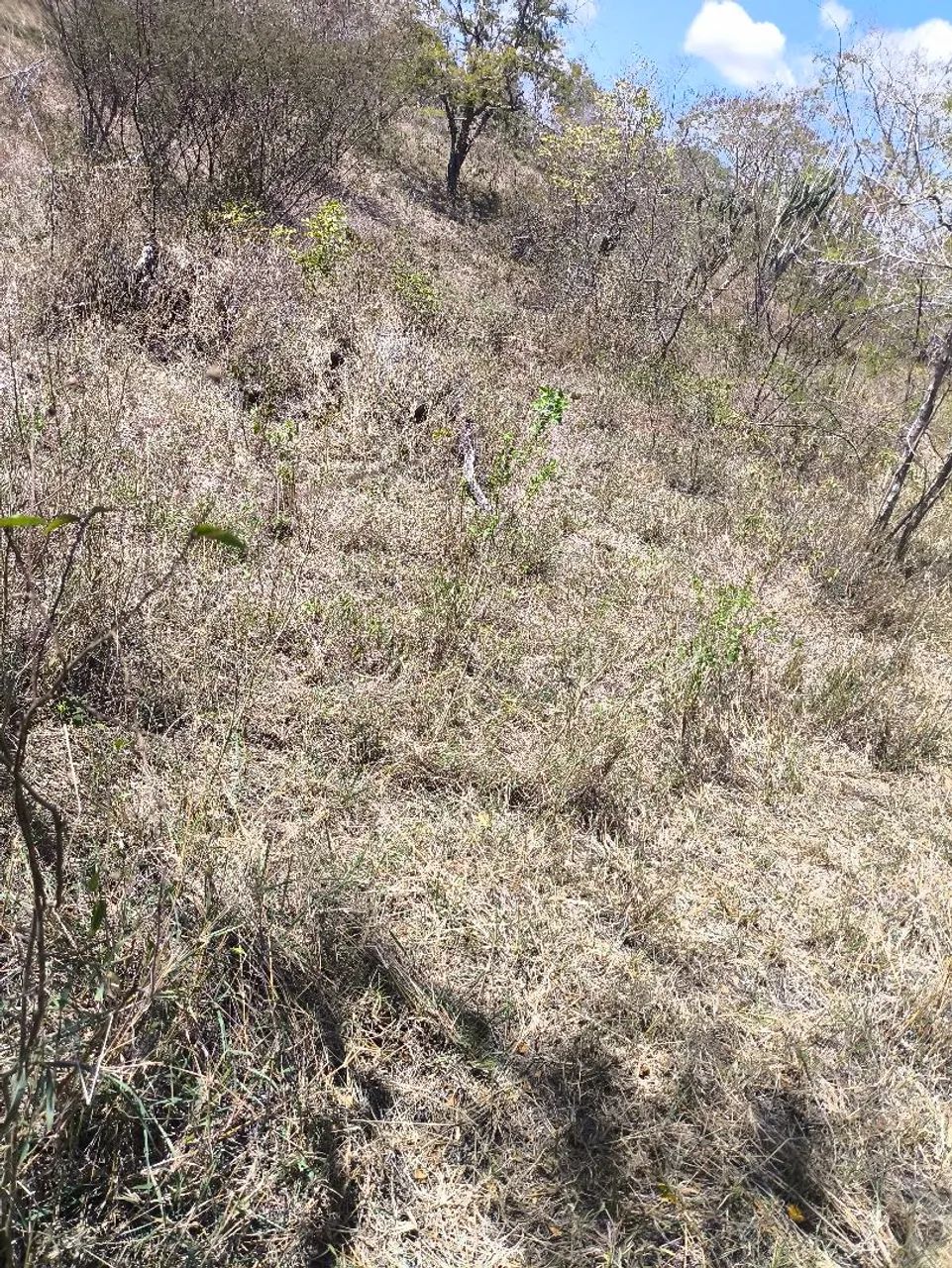 FAZENDA! - Foto 3