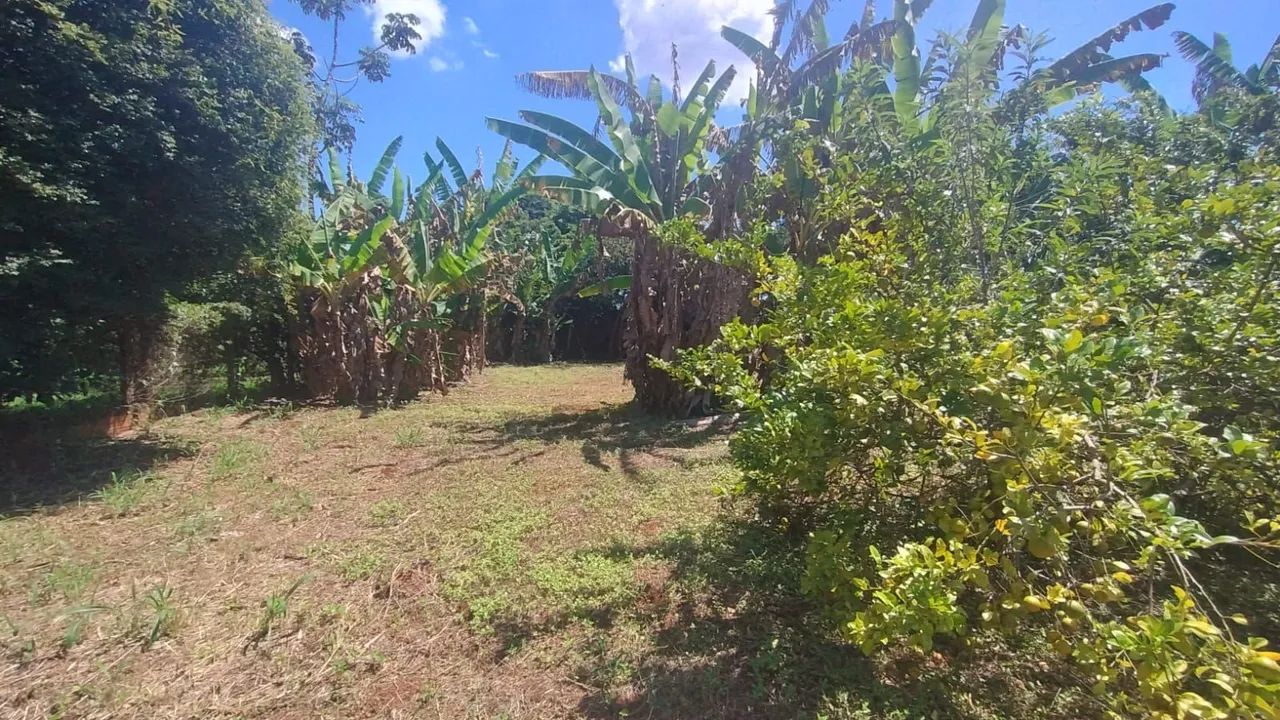 Foto - Santo André - Vila Scarpelli