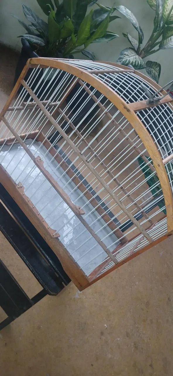 Gaiola para trinca ferro  - Foto 5