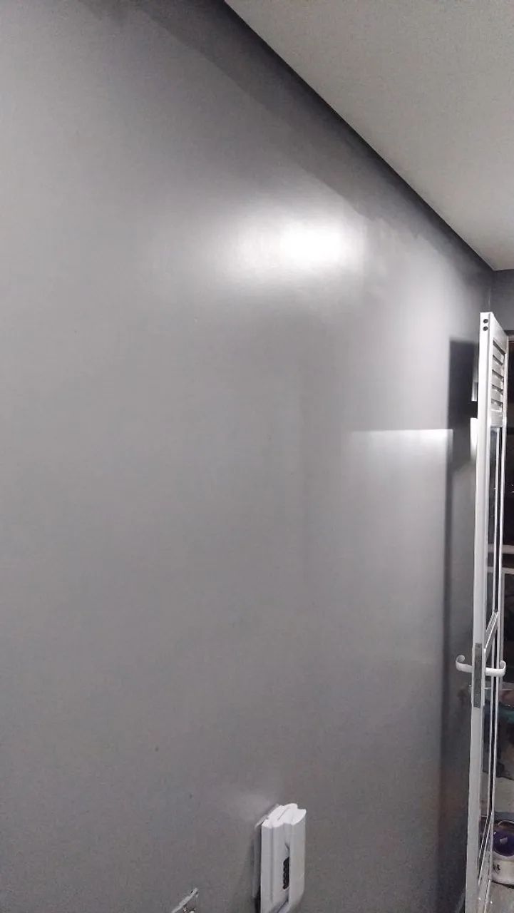 Pintor profissional 