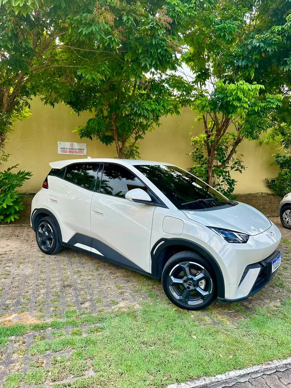 BYD Dolphin Mini (Elétrico) 2025