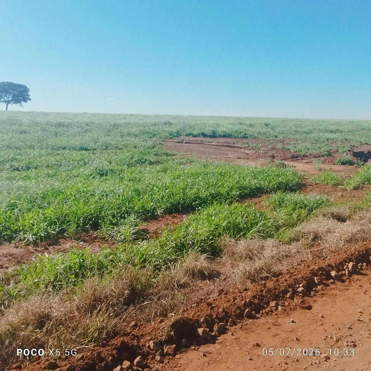 Chácaras próximo a Maringá  - Foto 3