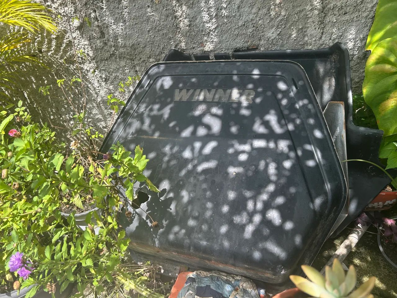 Mini buggy65635048946177120