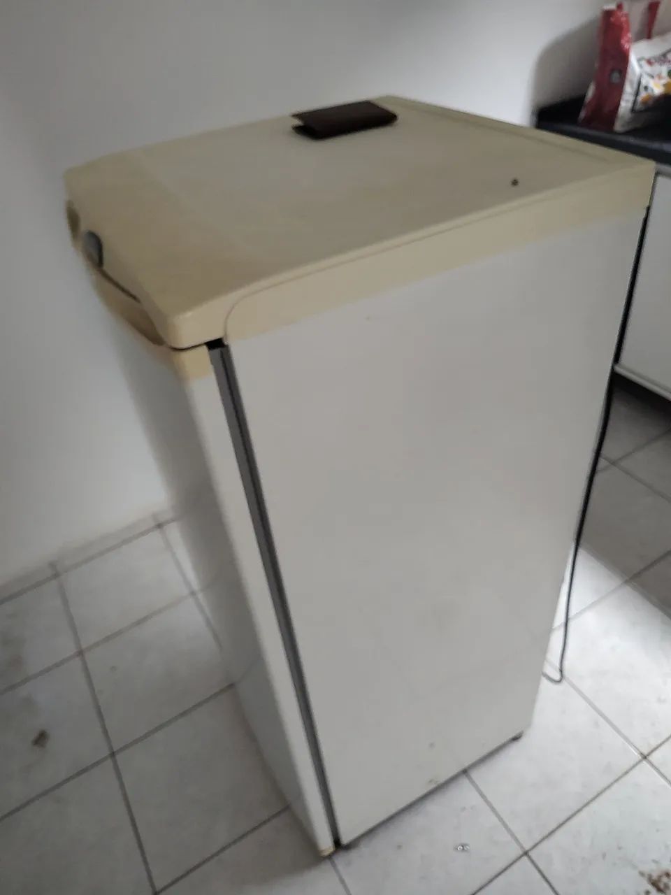 Freezer Electrolux F170 - Foto 2
