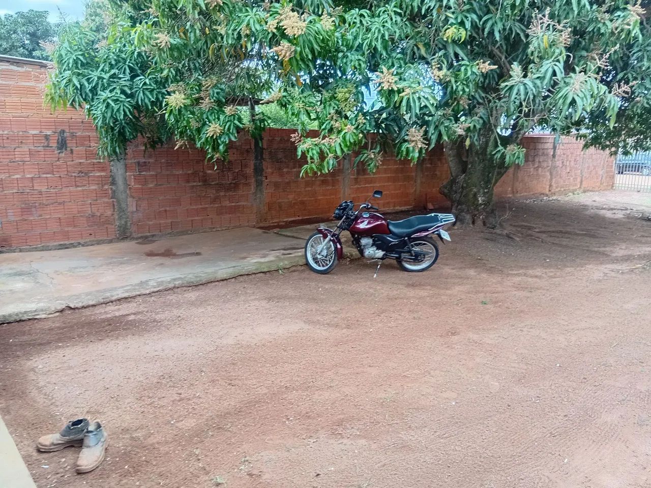 Entregador free disponivel Diurno