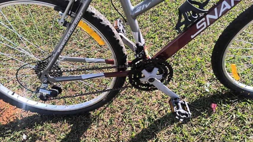 Bicicleta