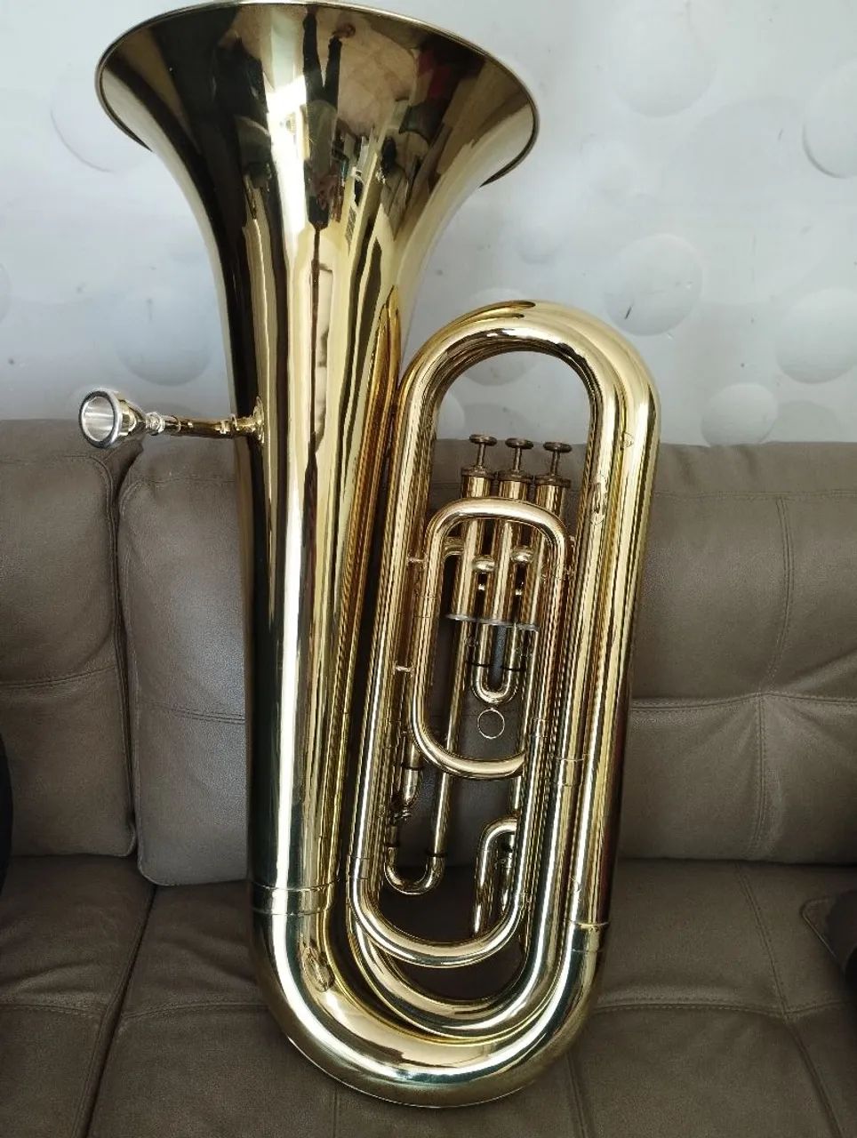 Tuba weril  - Foto 2