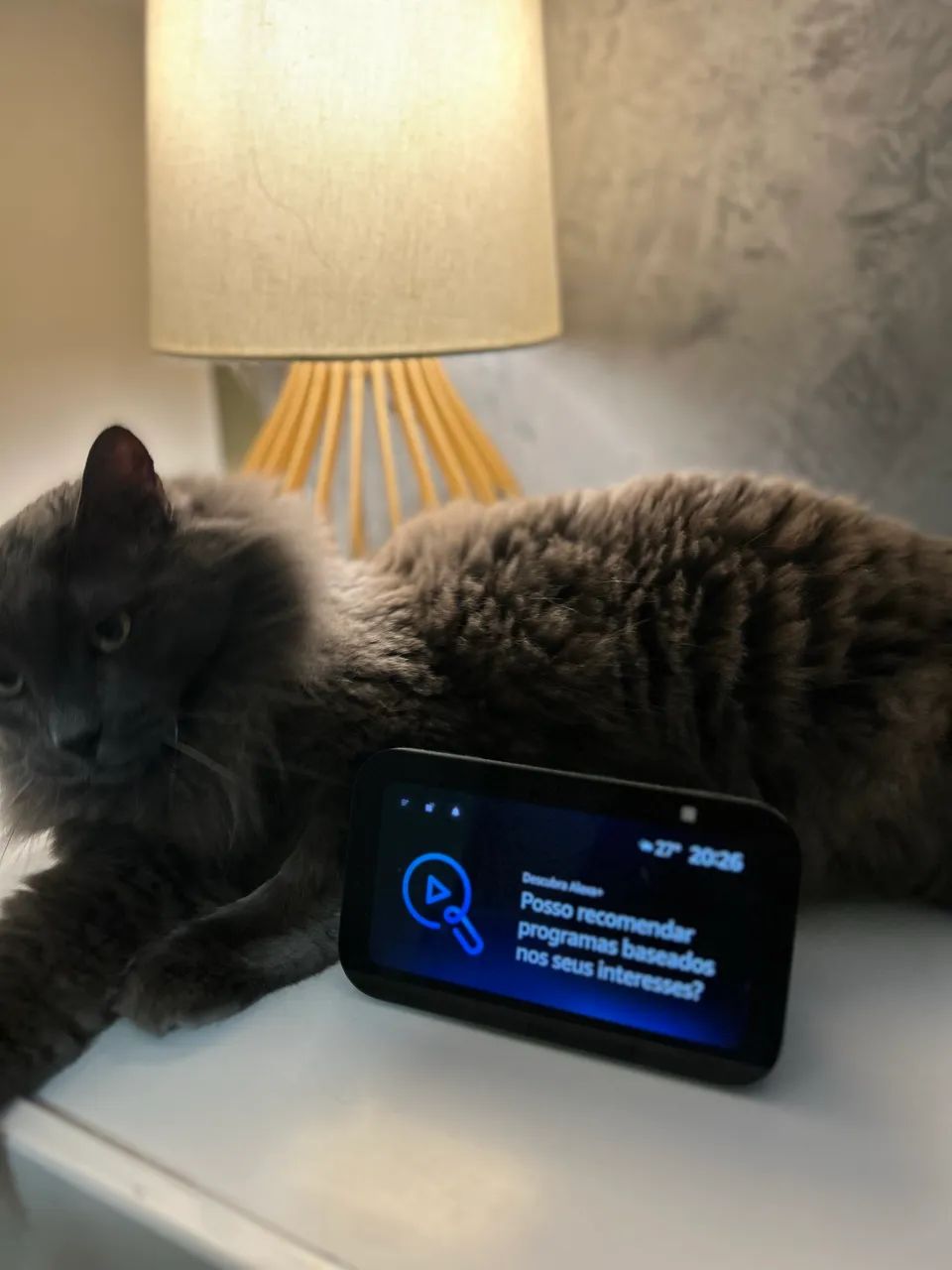 Alexa echo show 5 - Foto 3