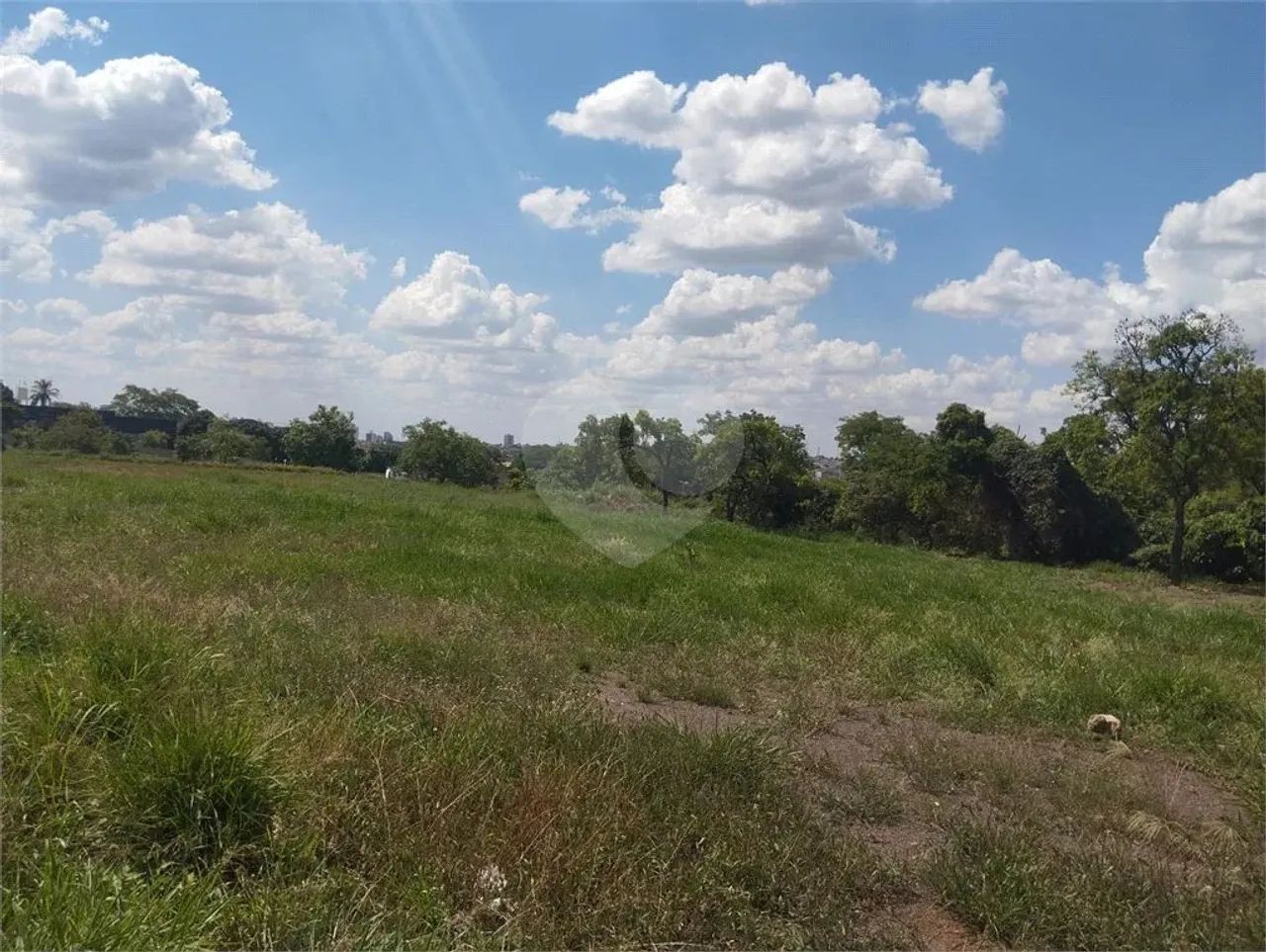 Terreno à venda em Jardim Nova América - SP - Foto 5