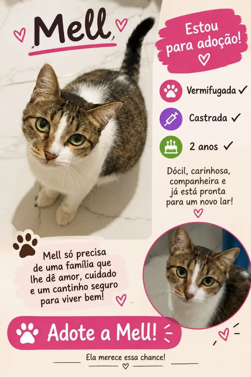 Doação 