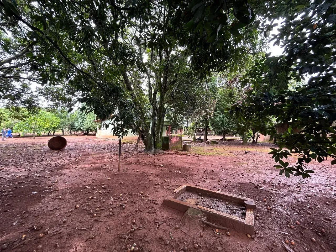 CHÁCARA NA VENDINHA - GO - Foto 2