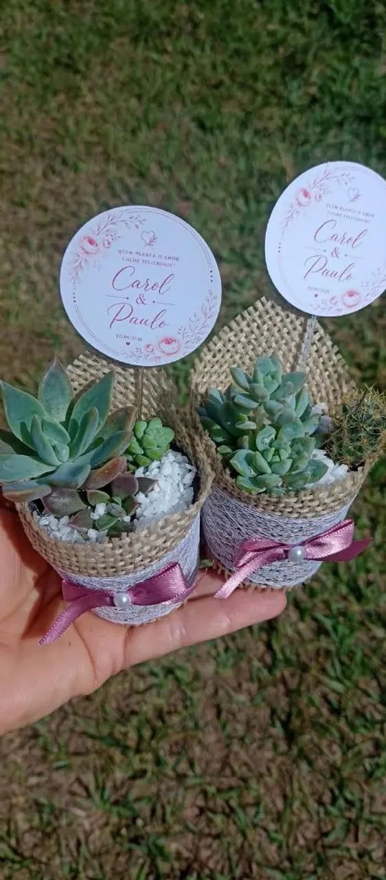Lembrancinhas de suculentas decoradas
