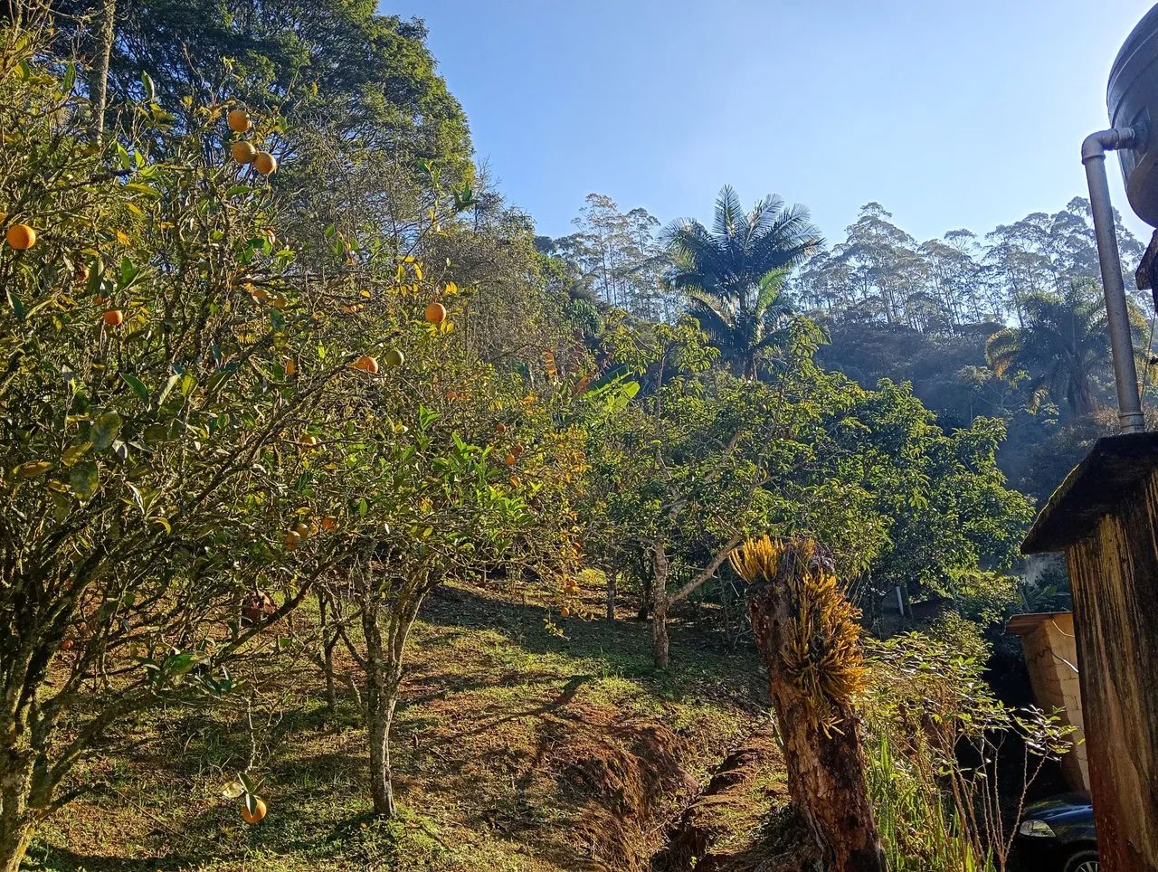 Chácaras e sítios a venda  - Foto 15