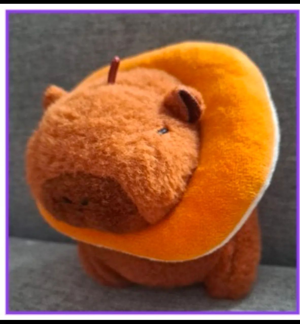 Pelúcia Capivara com boia
