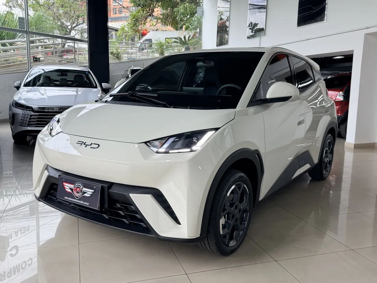 BYD Dolphin Mini (Elétrico) 2027 - Foto 2