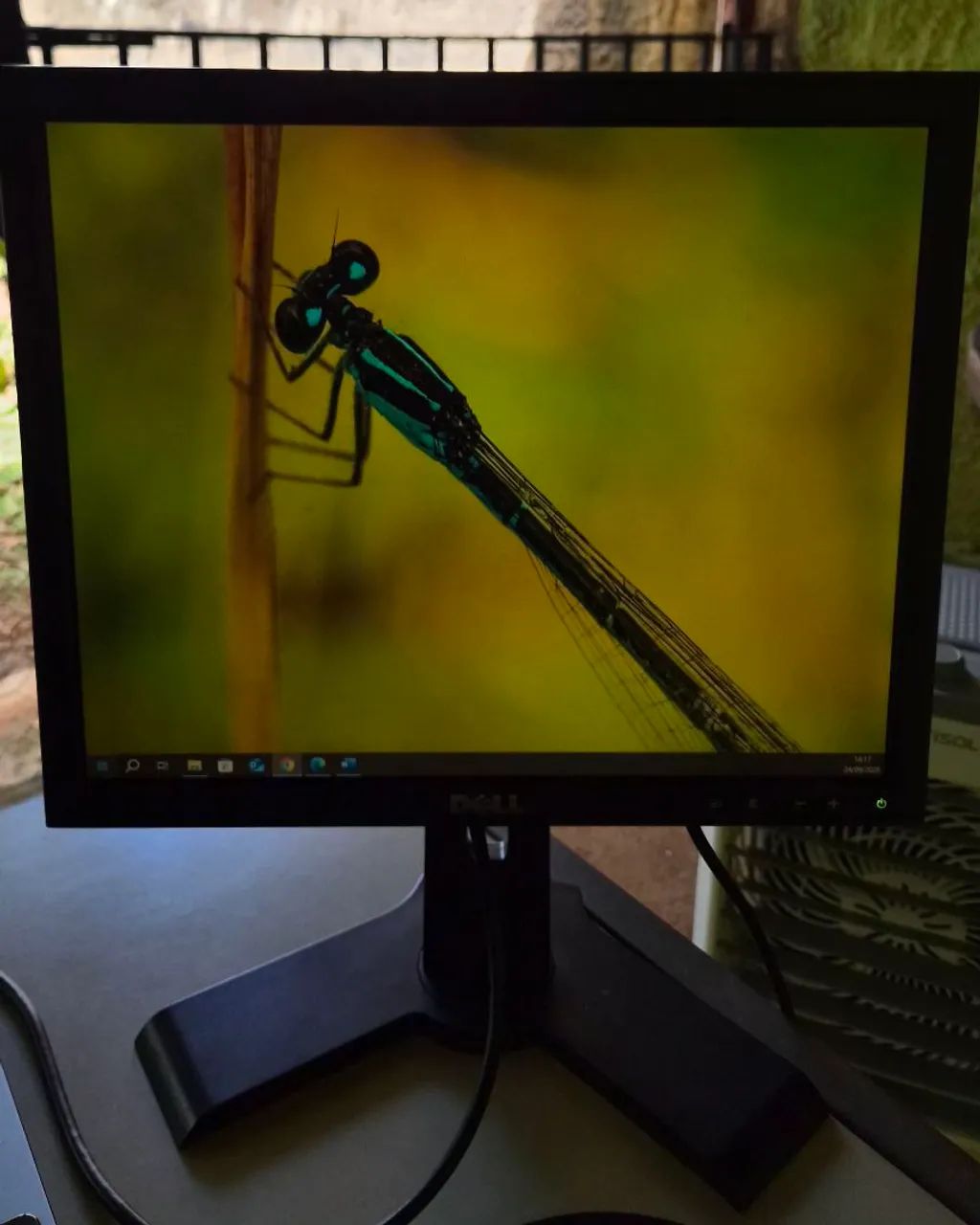 Monitor Dell P170S 17" - DVI/VGA - Base Ajustável + Cabo HDMI - Foto 2