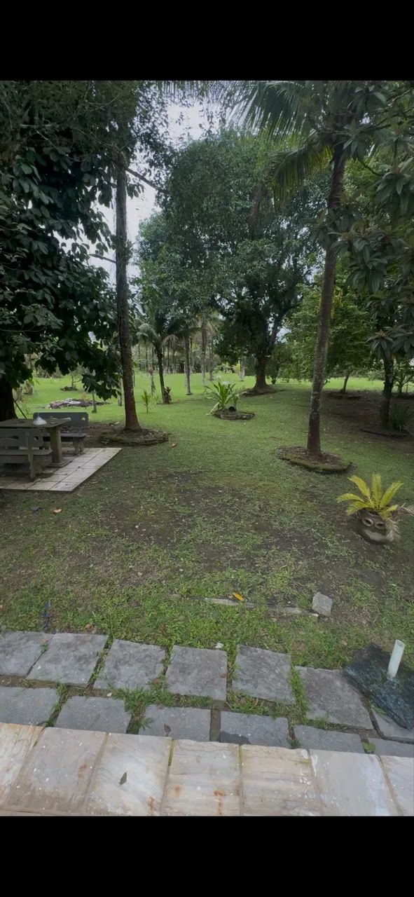 Vendo ou alugo chácara em parada ideal ( Guapimirim)  - Foto 3
