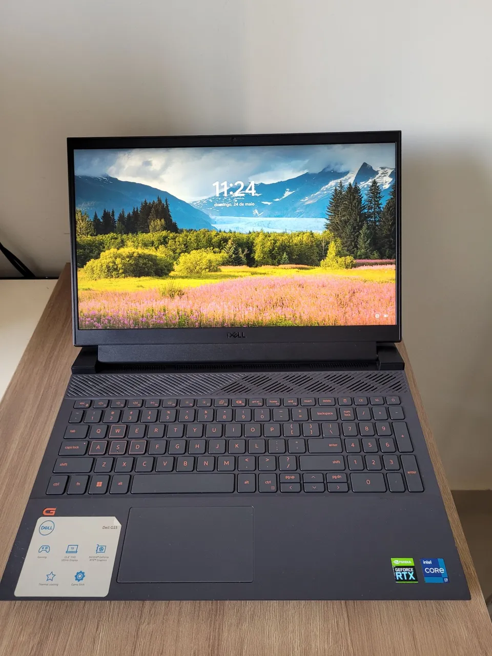 Notebook Dell 15 DC15250 (Core i5-1334U, RAM 8GB, SSD 256GB) Win11