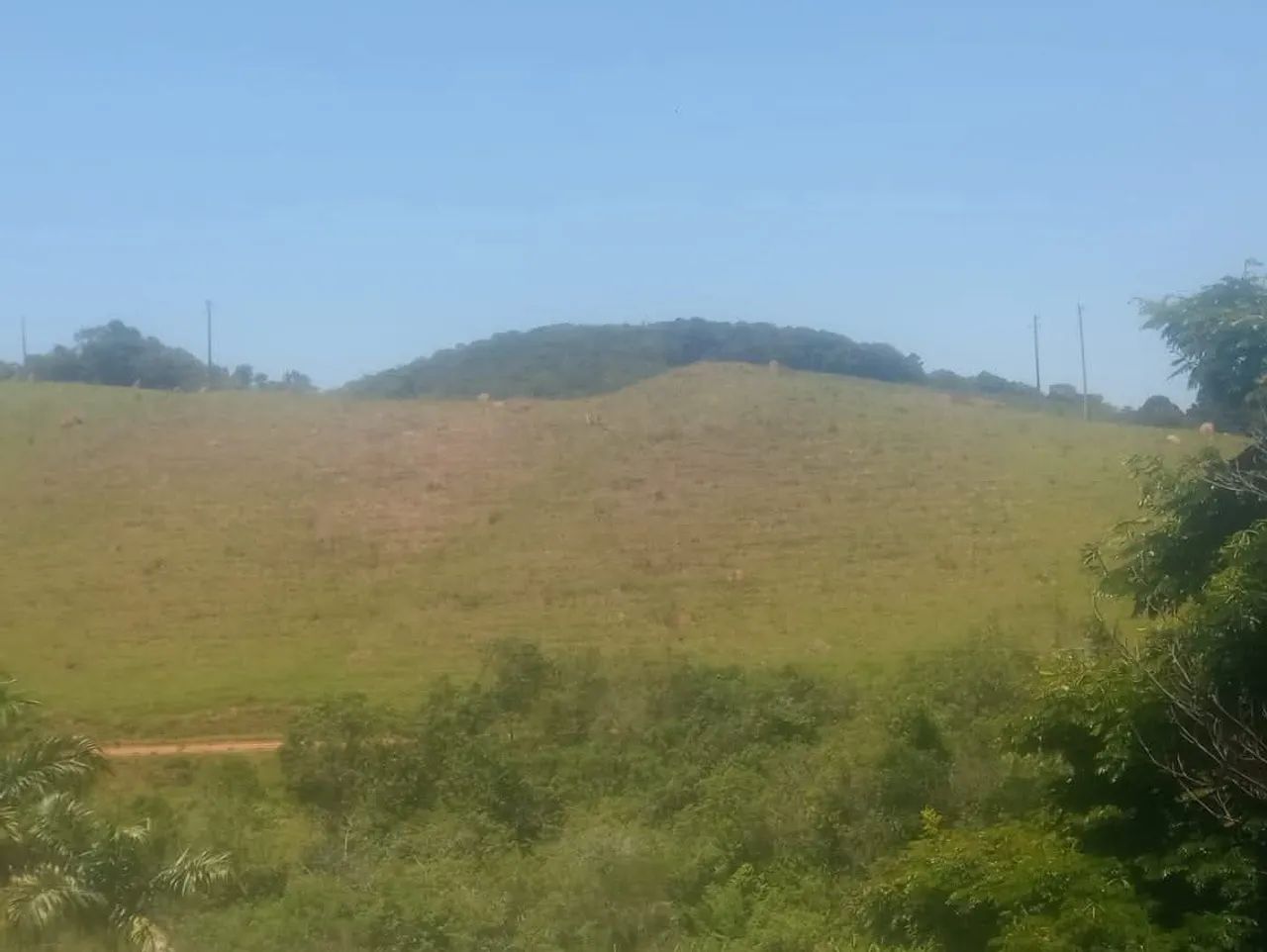VENDO SÍTIO 4.8 HECTARES  - Foto 4