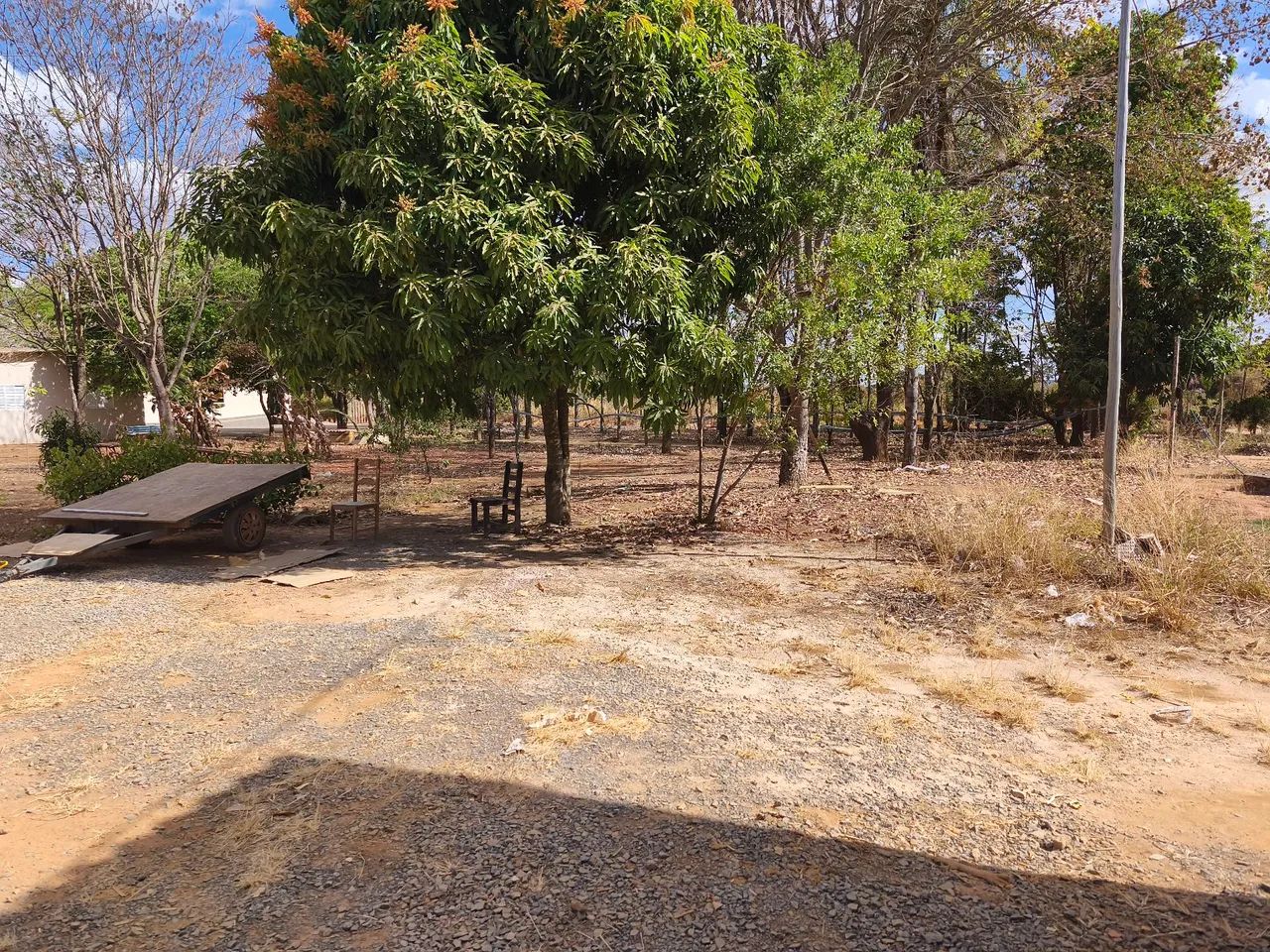 Lote de chácara Planaltina  - Foto 12