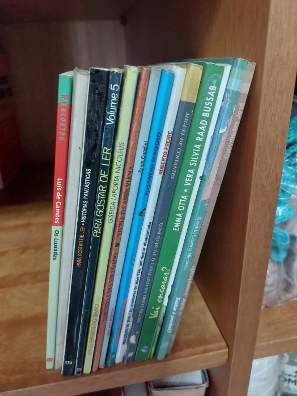 Coleção Livros infatojuvenil(25 volumes)