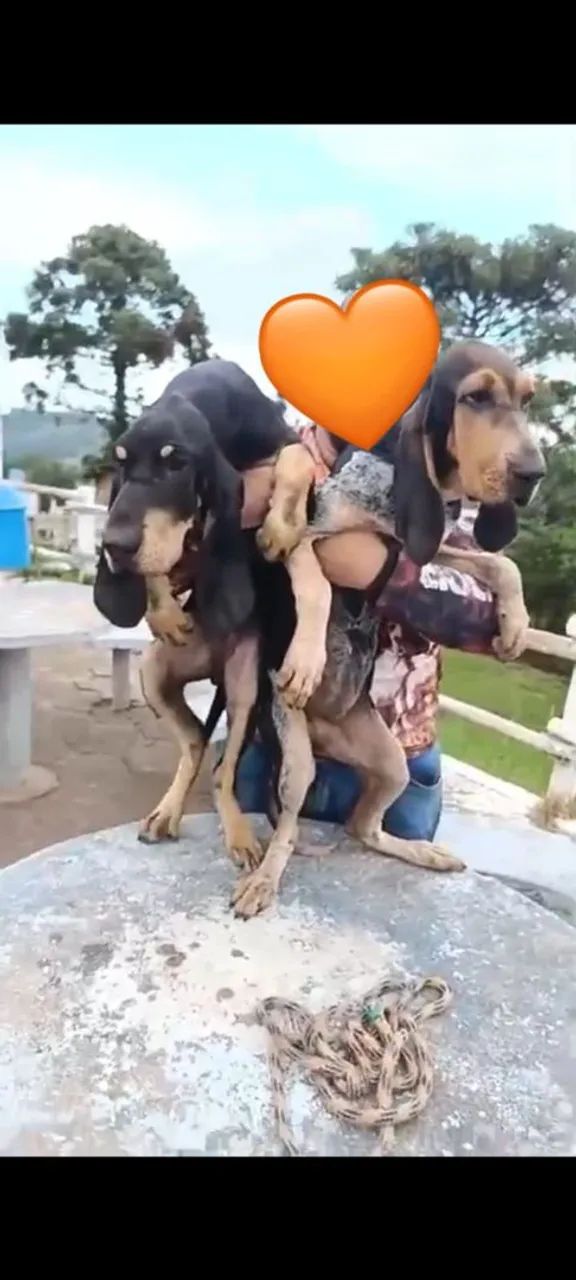 Quer qualidade e função  CASAL TOP - Foto 2