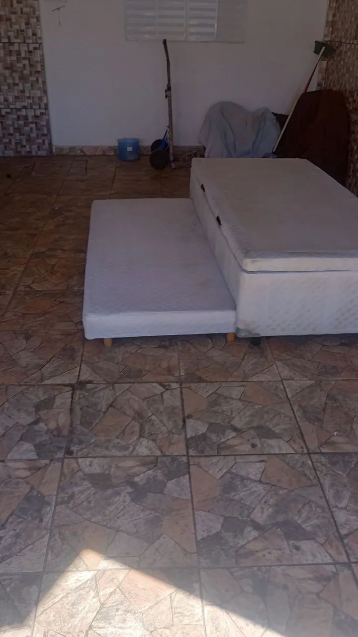 Bicama - Foto 2