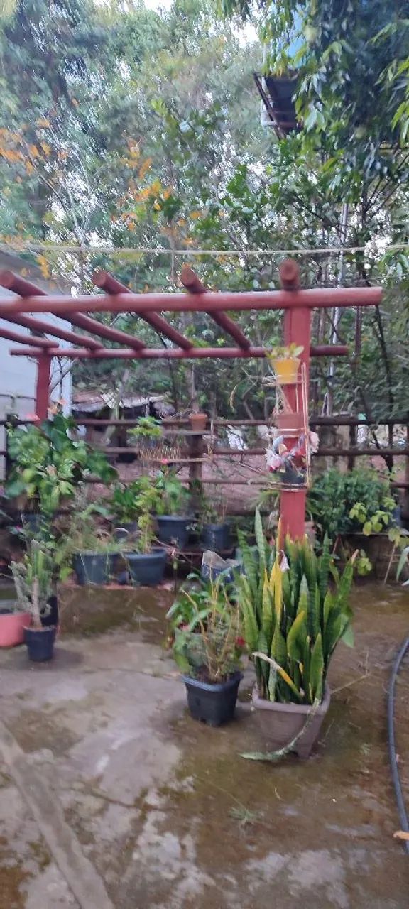 Chácara em Aragoiania  - Foto 2