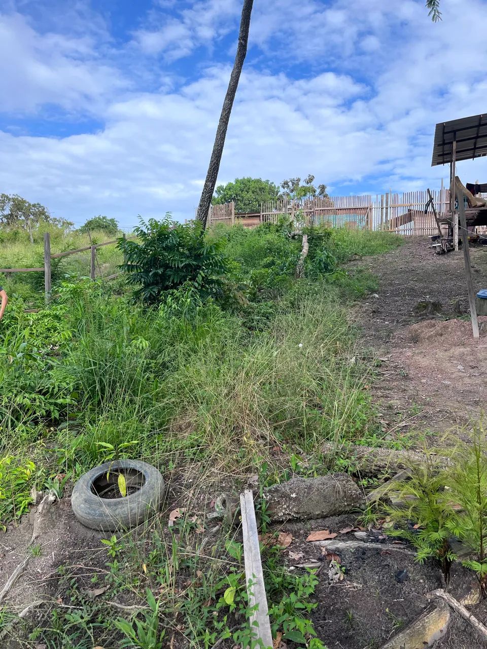 Vendo terreno na norte sul  - Foto 4