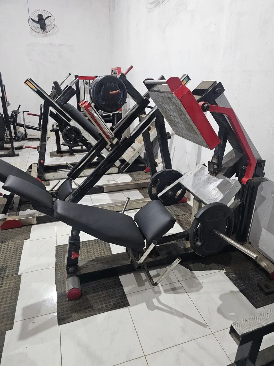 Leg Articulado 