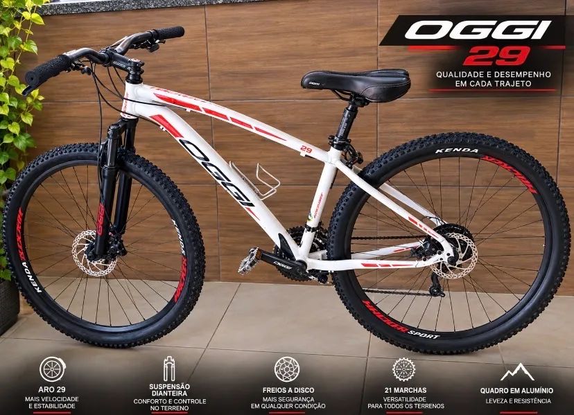 Bicicleta aro 29