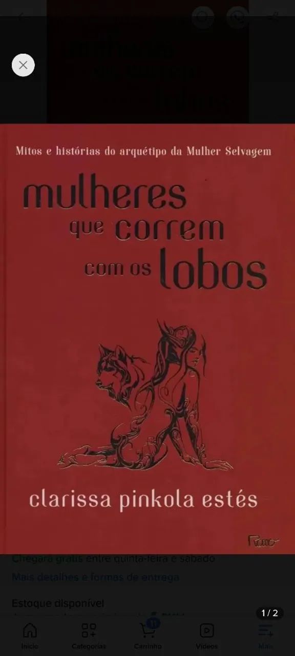 Mulheres que Correm com Lobos