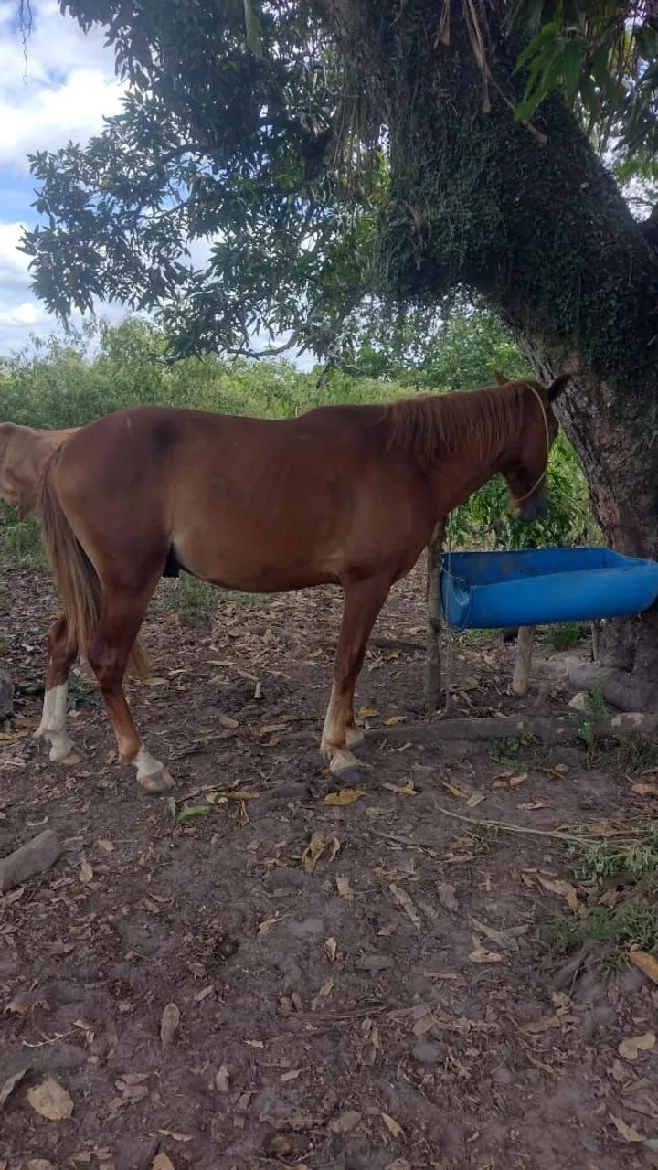 Vender é troca  - Foto 2