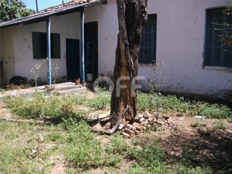 terreno - Centro - Campinas - Foto 4