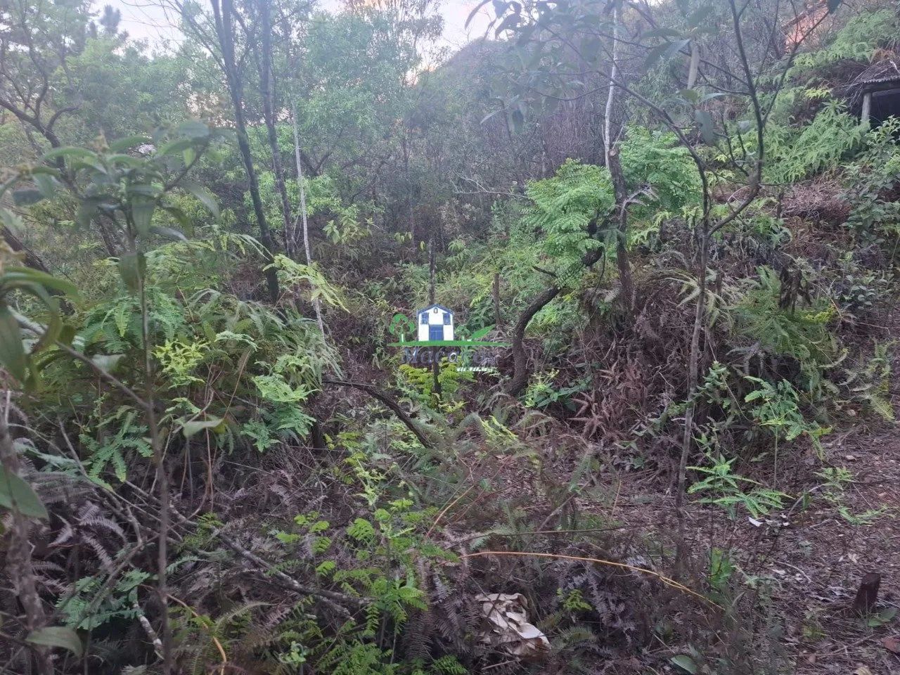 Terreno condomínio Parque do Engenho - Foto 4