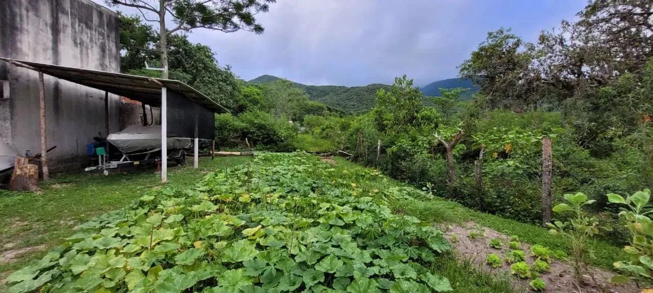 TERRENO À VENDA NA ENSEADA DO BRITO  PALHOÇA/SC - Foto 4